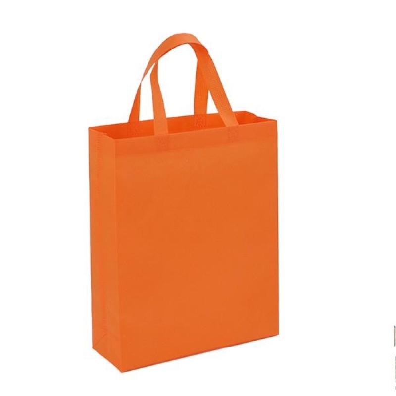 Non-woven Shopping Bag 