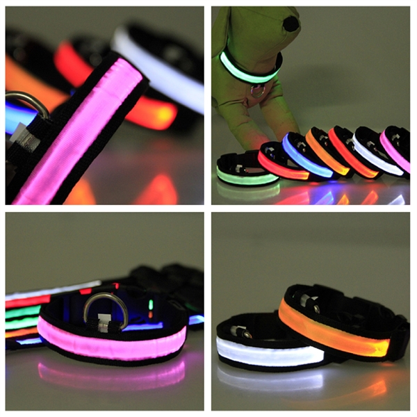 LED Dog Collar