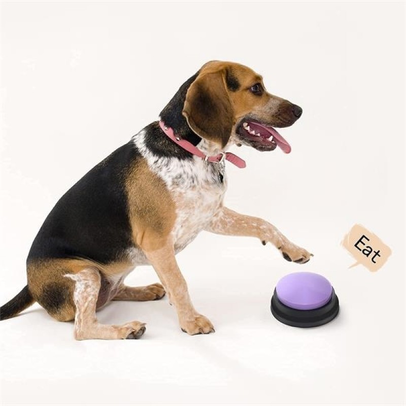 Pet Voice Recording Button 