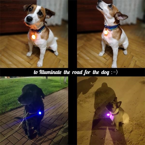 LED Dog Collar Light